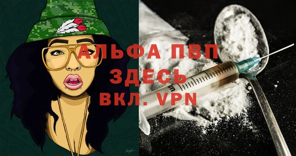 ПСИЛОЦИБИНОВЫЕ ГРИБЫ Волосово