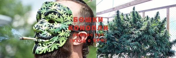 ПСИЛОЦИБИНОВЫЕ ГРИБЫ Волосово
