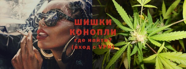 ПСИЛОЦИБИНОВЫЕ ГРИБЫ Волосово