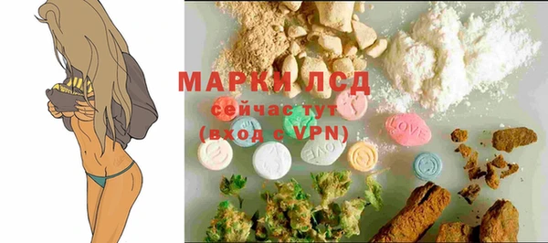 ПСИЛОЦИБИНОВЫЕ ГРИБЫ Волосово