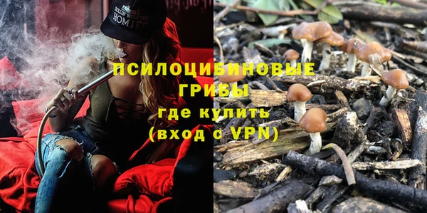 МДПВ Володарск