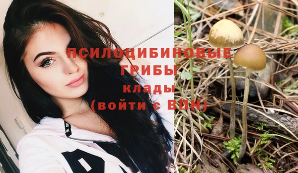 ПСИЛОЦИБИНОВЫЕ ГРИБЫ Волосово