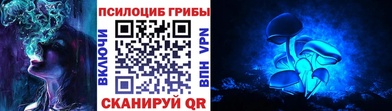 Псилоцибиновые грибы мухоморы  Камышлов 